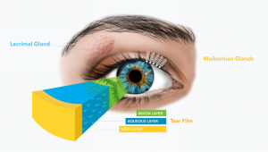 Tear film layers